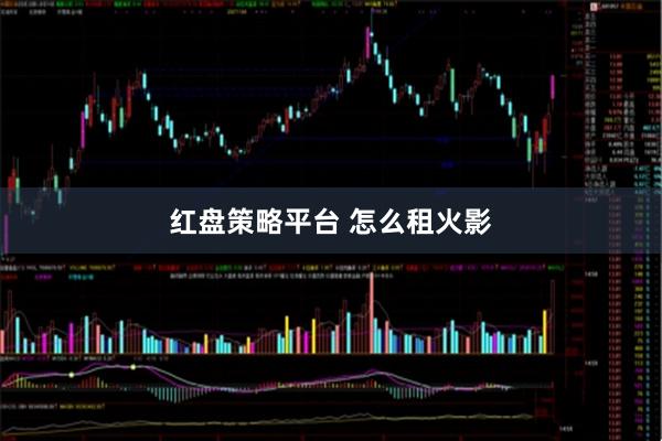 红盘策略平台 怎么租火影